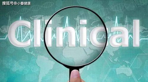 乙肝新藥NASVAC 多學科合作開拓免疫治療新路徑