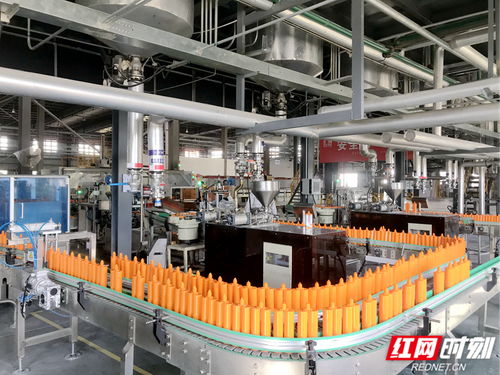 奔向新質④丨岳陽經開區 向綠、向數、向高端的靖竏科技實踐